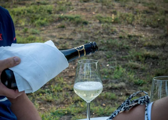 Alojamento de Turismo Rural Tenuta Di Caiolo *